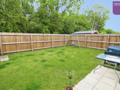 Picture 11